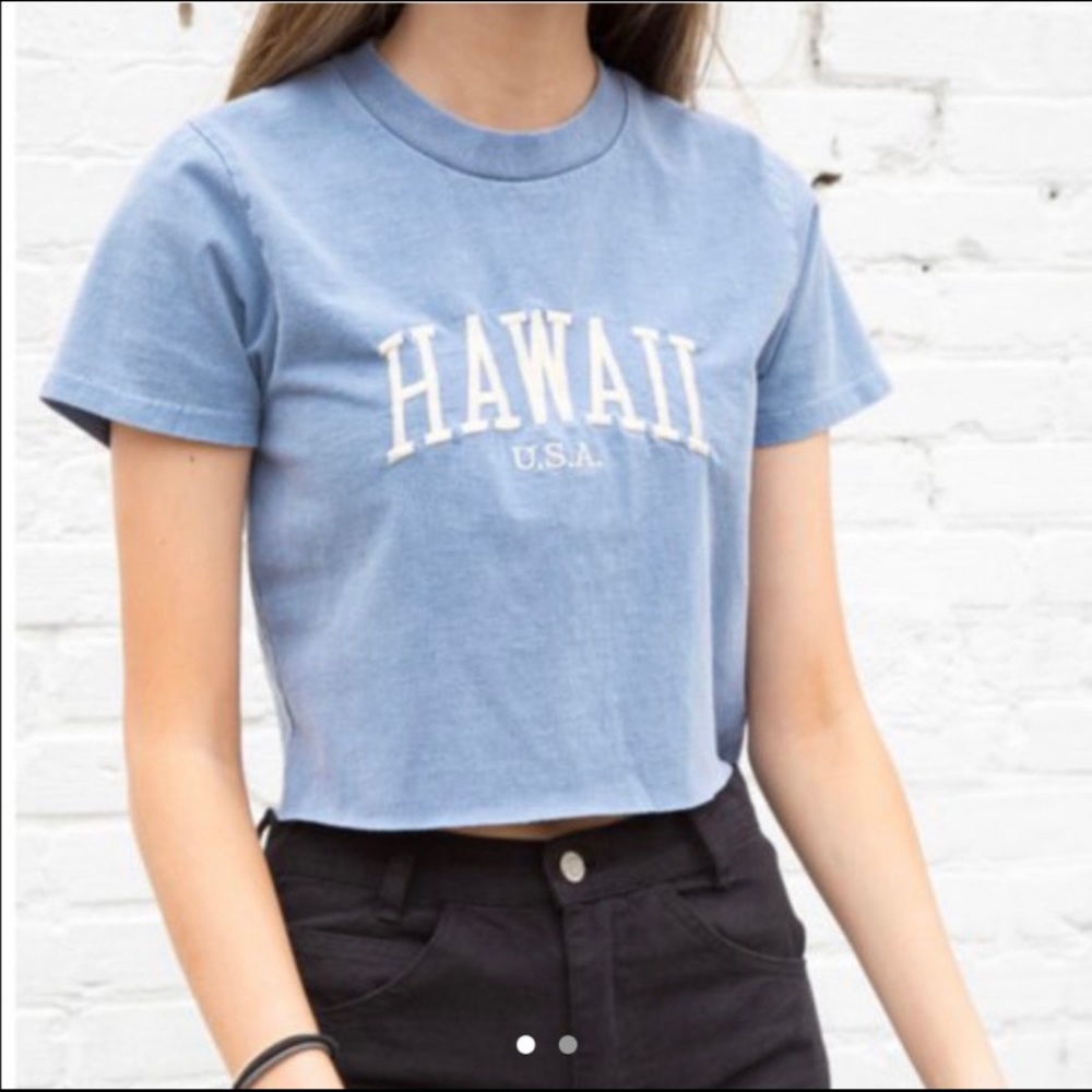 Brandy Melville Hawaii Top